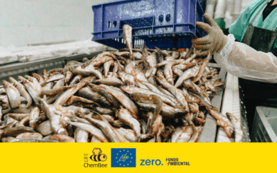 Novo Relatório do EEB: os PFAS estão a envenenar as águas e o peixe na UE!